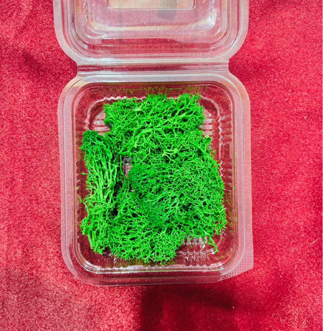 Dark Green Grass