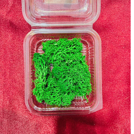 Dark Green Grass