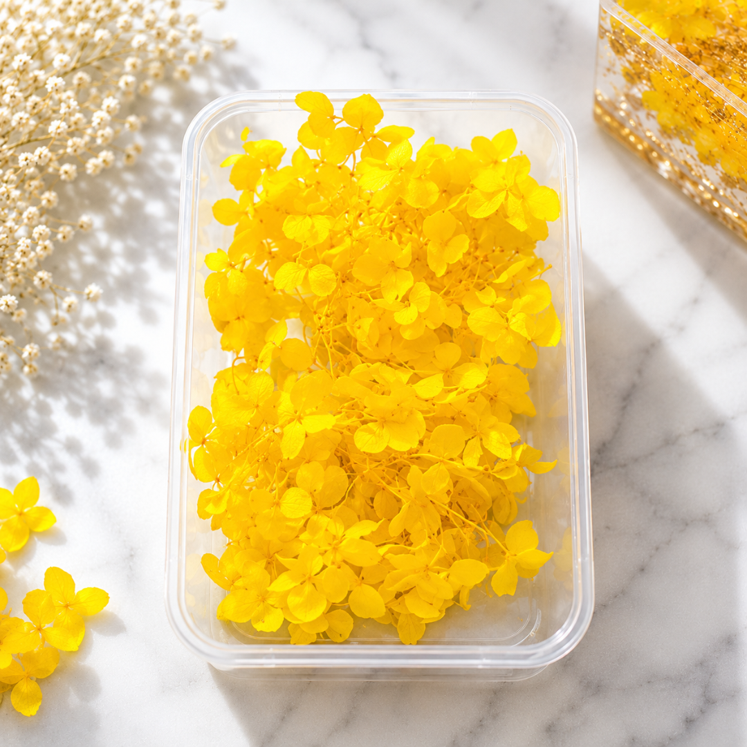 Hydra Dry Flower Box