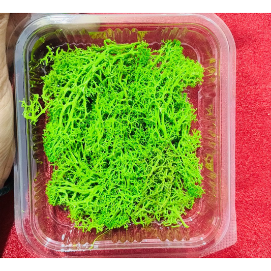 Dry Grass Box