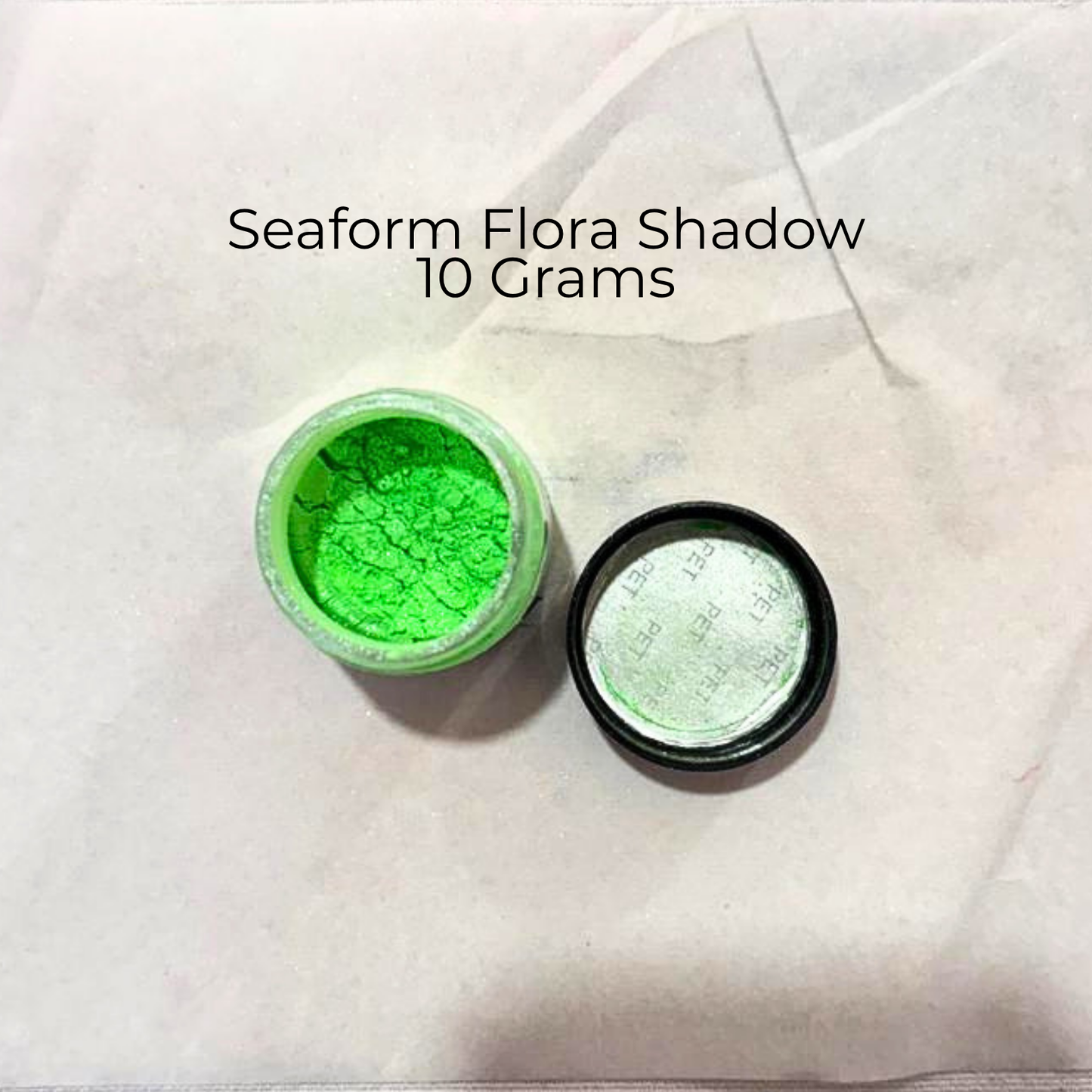 Seafoam Green Mica Powder 10 Grams