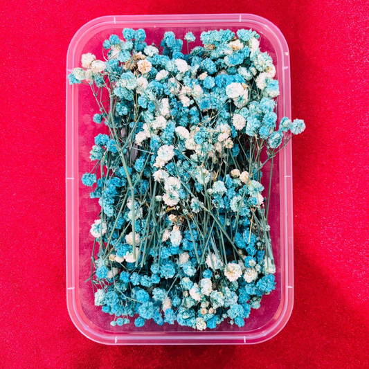 Baby Breath Flowers Blue Color