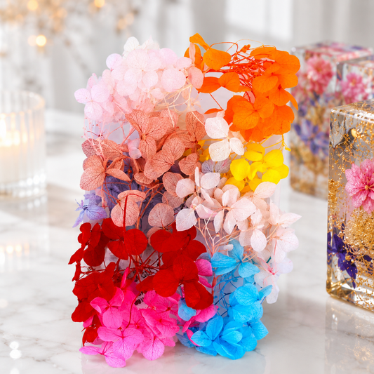 Hydra Dry Flower Box
