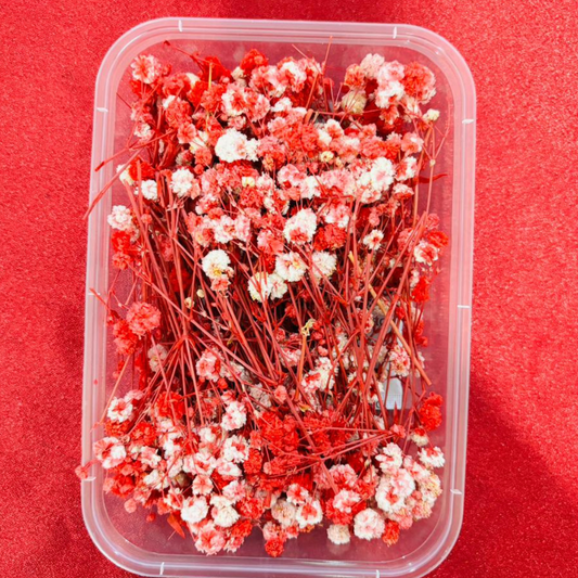 Baby Breath Flowers  Red Color