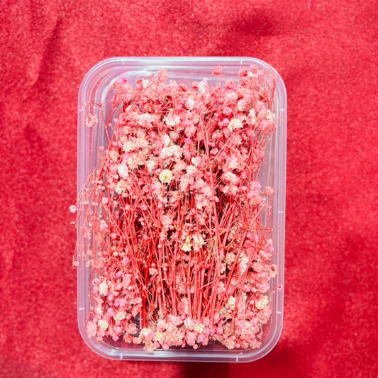 Baby Breath Flowers Pink Color
