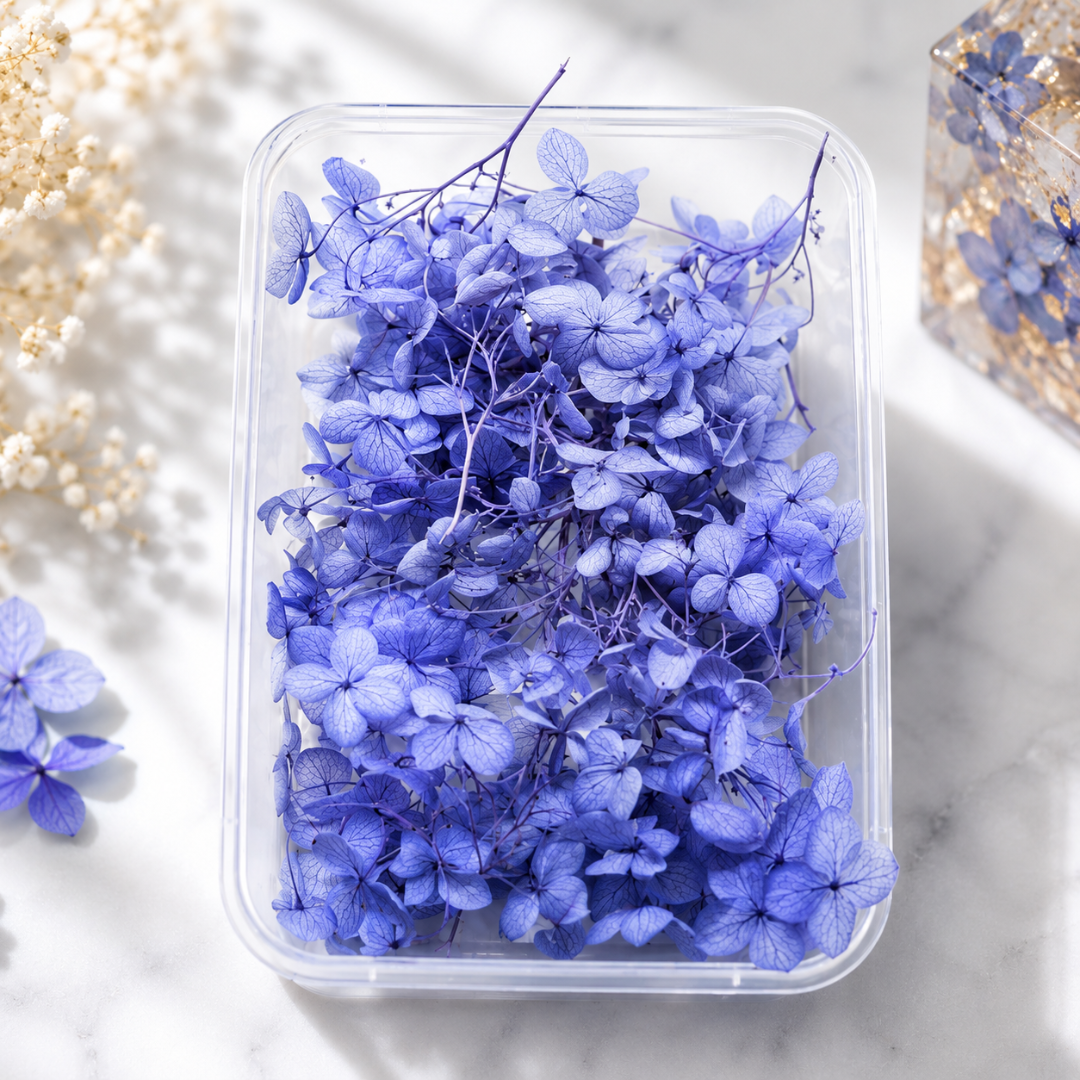 Hydra Dry Flower Box