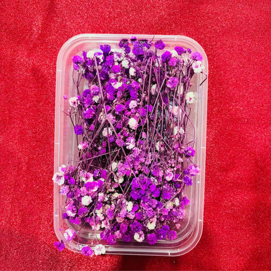 Purple Color Baby Breath  Flower