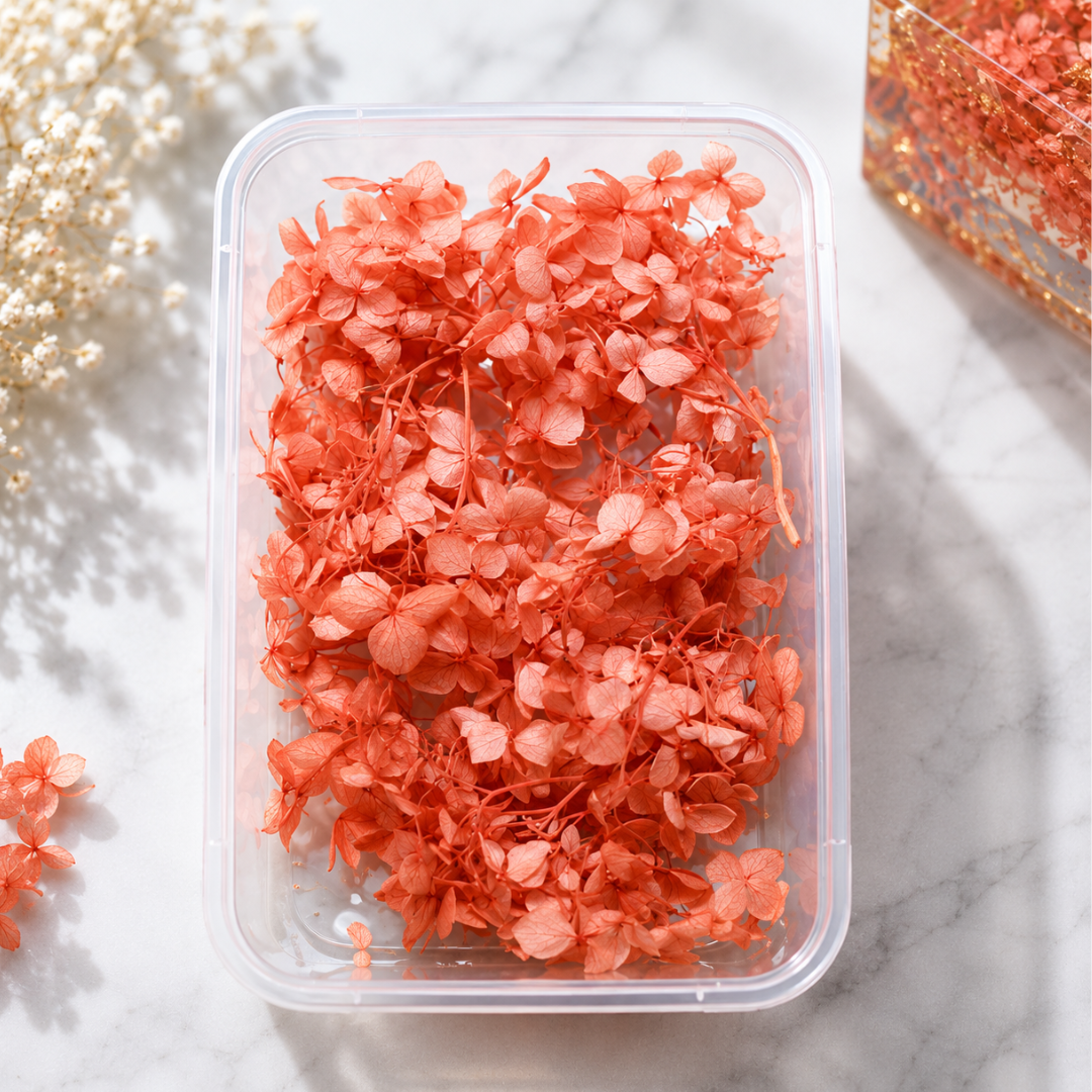 Hydra Dry Flower Box