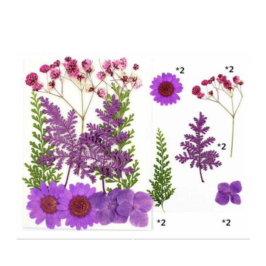Mix Purple Color Pressed Flower